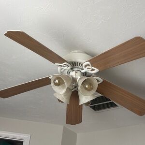 Ceiling Fan with light